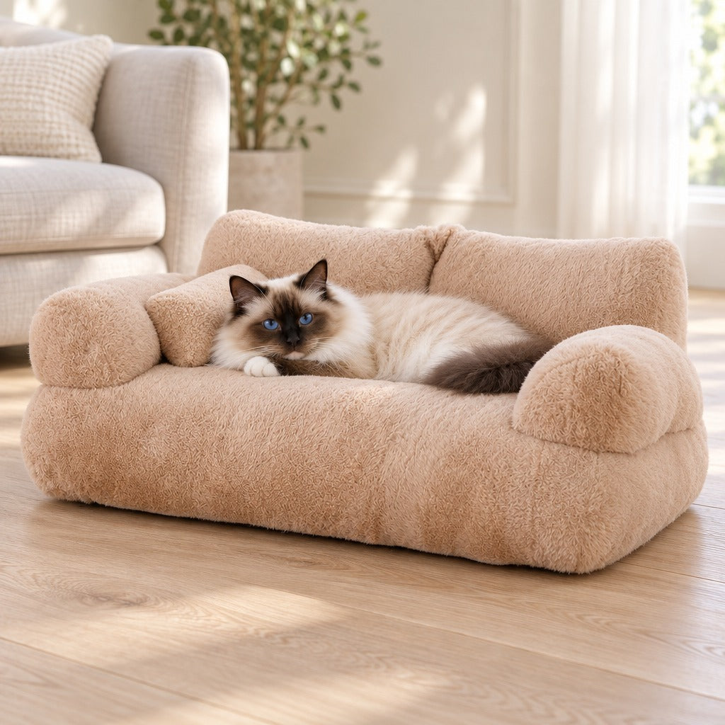 Un chat seal point couché sur le côté sur l'assise du sofa moelleux moka, une patte avant repliée sous le menton, dans un salon clair