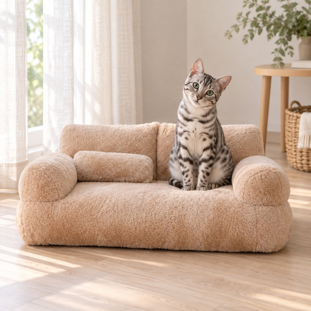 Un chat silver tabby assis bien droit sur l'assise du sofa moelleux moka, la tête inclinée de côté, près d'une fenêtre