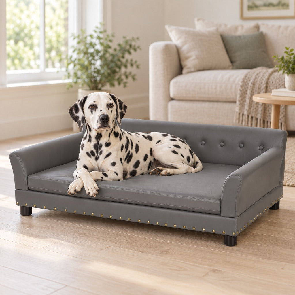 Un dalmatien couché sur le sofa rectangulaire gris, les pattes avant croisées, dans un salon clair.